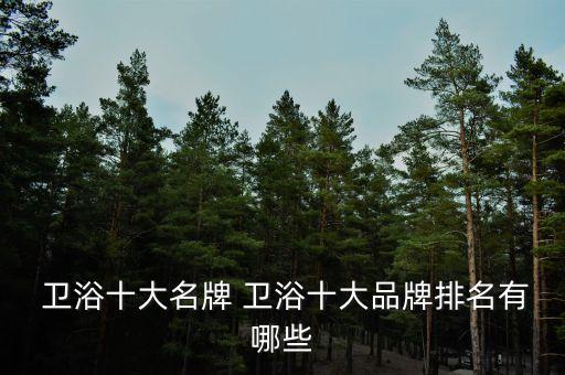  衛(wèi)浴十大名牌 衛(wèi)浴十大品牌排名有哪些