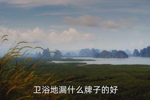  衛(wèi)浴地漏什么牌子的好