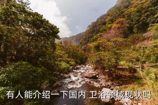 有人能介紹一下國內 衛(wèi)浴領域現(xiàn)狀嗎