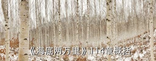 《海底兩萬(wàn)里》114章概括
