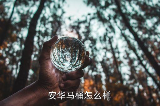 安華馬桶怎么樣
