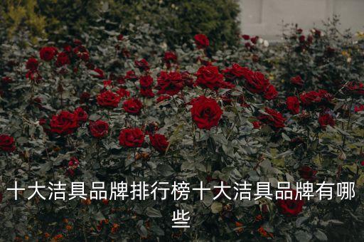 十大潔具品牌排行榜十大潔具品牌有哪些