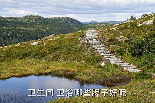 衛(wèi)生間 衛(wèi)浴哪些牌子好呢