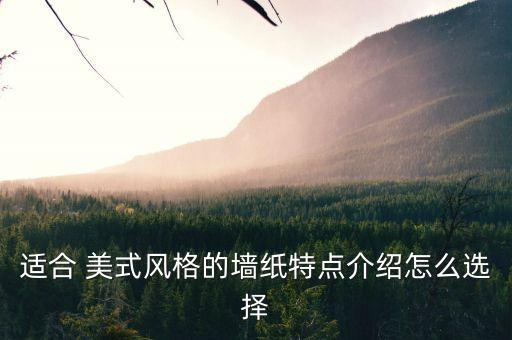 適合 美式風格的墻紙?zhí)攸c介紹怎么選擇