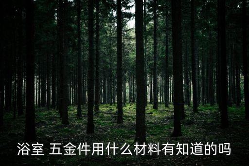 浴室 五金件用什么材料有知道的嗎