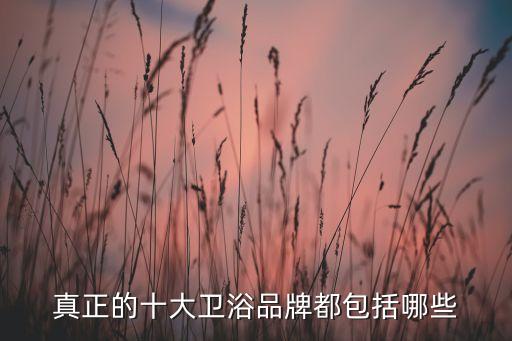 真正的十大衛(wèi)浴品牌都包括哪些