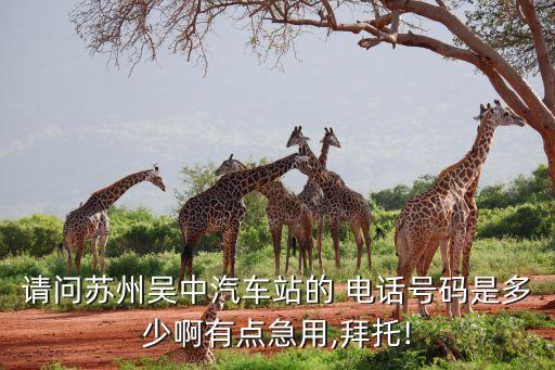 請(qǐng)問(wèn)蘇州吳中汽車站的 電話號(hào)碼是多少啊有點(diǎn)急用,拜托!
