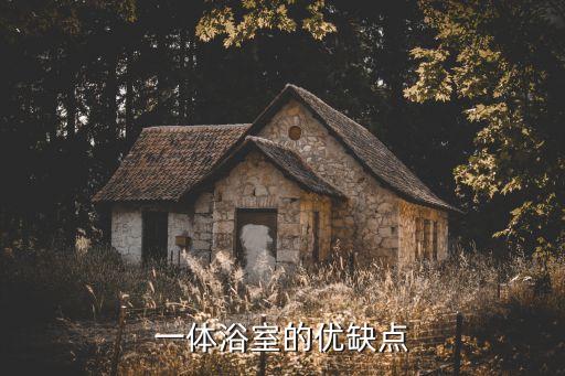 山東水療衛(wèi)浴結(jié)構(gòu)圖片