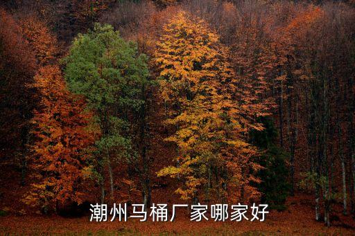  潮州馬桶廠家哪家好