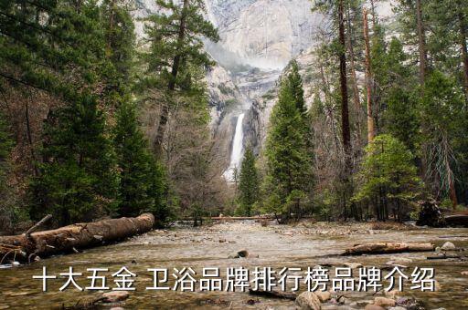 十大五金 衛(wèi)浴品牌排行榜品牌介紹