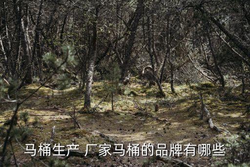 馬桶生產(chǎn) 廠(chǎng)家馬桶的品牌有哪些