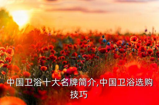 中國衛(wèi)浴十大名牌簡介,中國衛(wèi)浴選購技巧