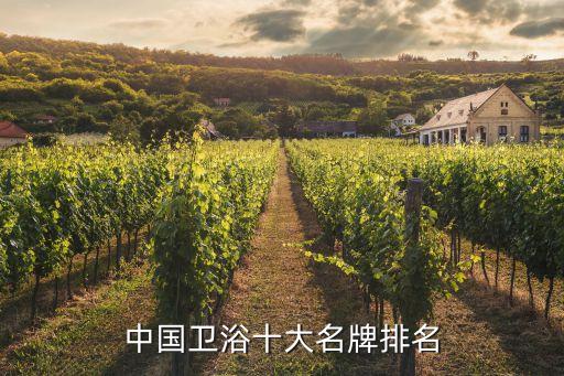 中國(guó)衛(wèi)浴十大名牌排名