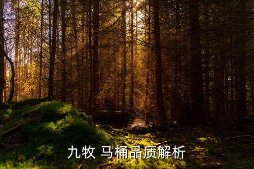 九牧 馬桶品質(zhì)解析