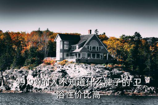 99.9%的人不知道什么牌子的 衛(wèi)浴性價(jià)比高