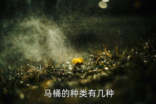  馬桶的種類有幾種