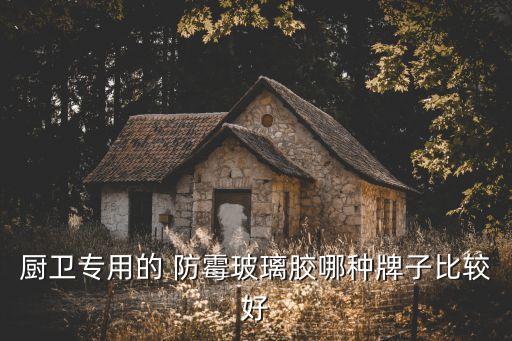 廚衛(wèi)專(zhuān)用的 防霉玻璃膠哪種牌子比較好