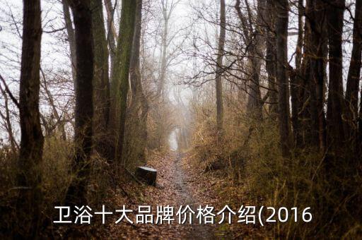  衛(wèi)浴十大品牌價(jià)格介紹(2016