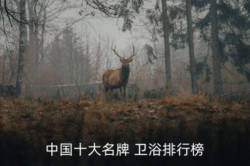 帝匠衛(wèi)浴的品牌怎么樣,四維衛(wèi)浴品牌怎么樣