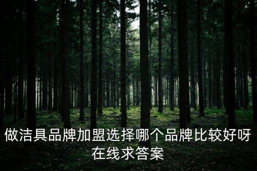 做潔具品牌加盟選擇哪個品牌比較好呀在線求答案