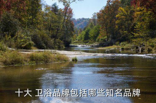 十大 衛(wèi)浴品牌包括哪些知名品牌