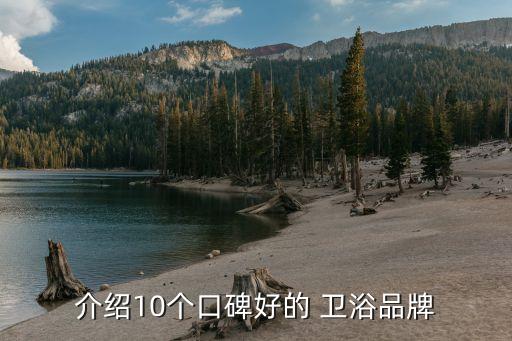 介紹10個(gè)口碑好的 衛(wèi)浴品牌