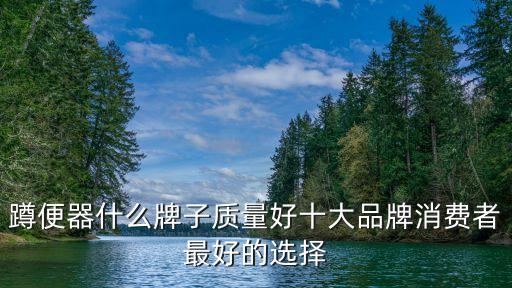 蹲便器什么牌子質量好十大品牌消費者最好的選擇