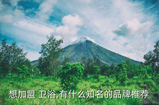 想加盟 衛(wèi)浴,有什么知名的品牌推薦