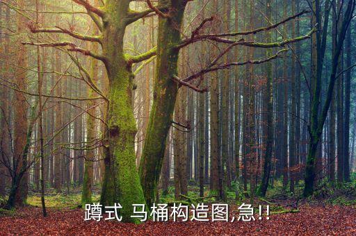 蹲式 馬桶構造圖,急!!