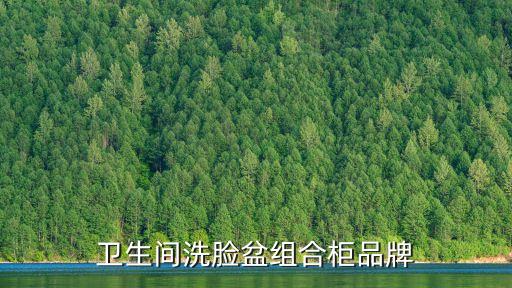 衛(wèi)生間洗臉盆組合柜品牌
