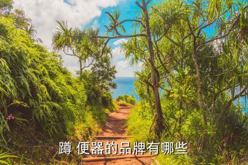 蹲 便器的品牌有哪些