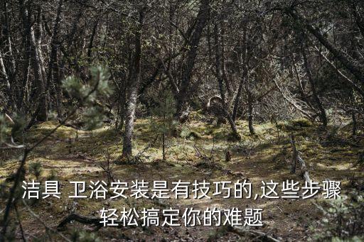 潔具 衛(wèi)浴安裝是有技巧的,這些步驟輕松搞定你的難題