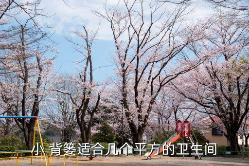 小 背簍適合幾個平方的衛(wèi)生間