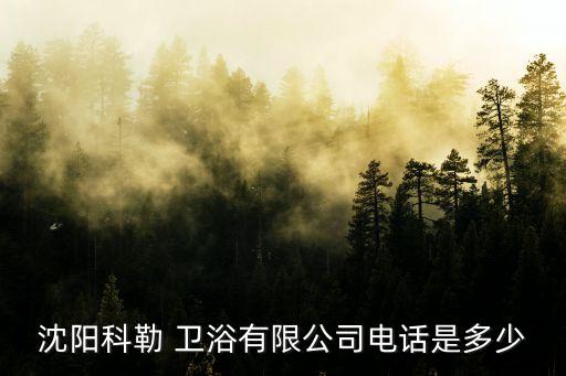 沈陽科勒 衛(wèi)浴有限公司電話是多少