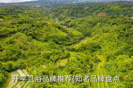 開平衛(wèi)浴品牌推薦(知名品牌盤點