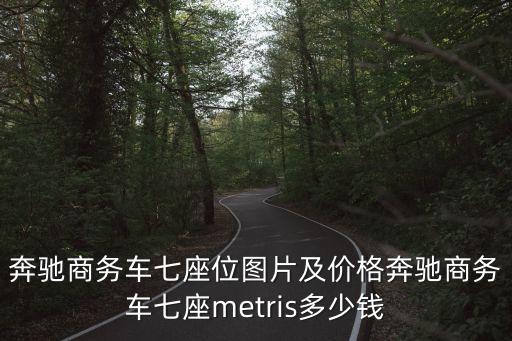 奔馳商務(wù)車七座位圖片及價(jià)格奔馳商務(wù)車七座metris多少錢