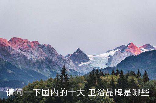 請(qǐng)問一下國內(nèi)的十大 衛(wèi)浴品牌是哪些