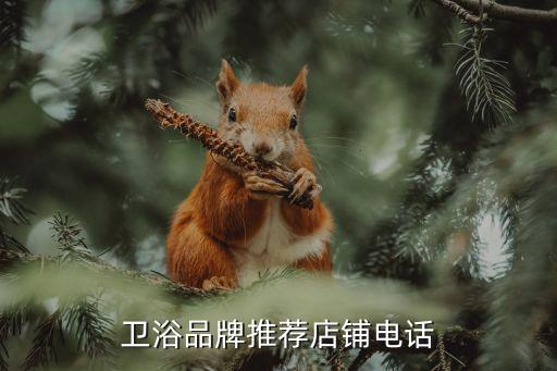 益高衛(wèi)浴品牌推薦店鋪電話
