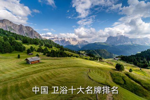中國 衛(wèi)浴十大名牌排名