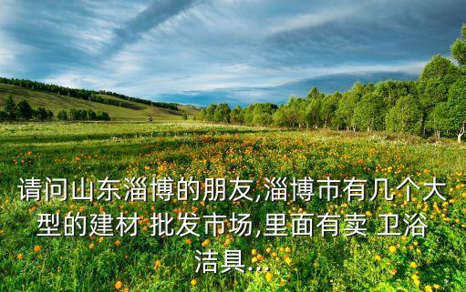 請(qǐng)問山東淄博的朋友,淄博市有幾個(gè)大型的建材 批發(fā)市場(chǎng),里面有賣 衛(wèi)浴潔具...