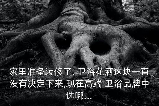 家里準(zhǔn)備裝修了, 衛(wèi)浴花灑這塊一直沒(méi)有決定下來(lái),現(xiàn)在高端 衛(wèi)浴品牌中選哪...