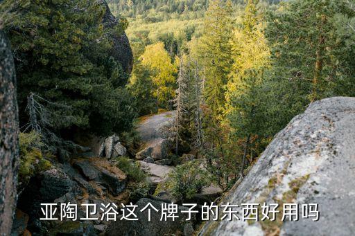 亞陶衛(wèi)浴這個(gè)牌子的東西好用嗎