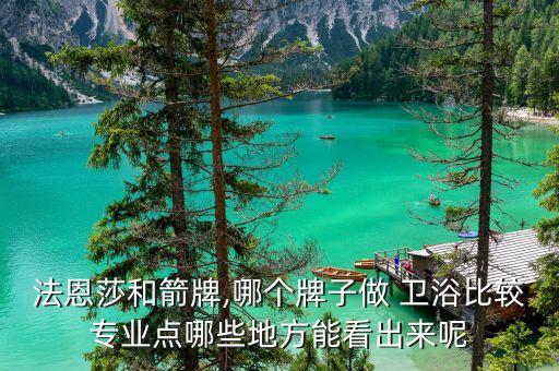 法恩莎和箭牌,哪個牌子做 衛(wèi)浴比較專業(yè)點哪些地方能看出來呢