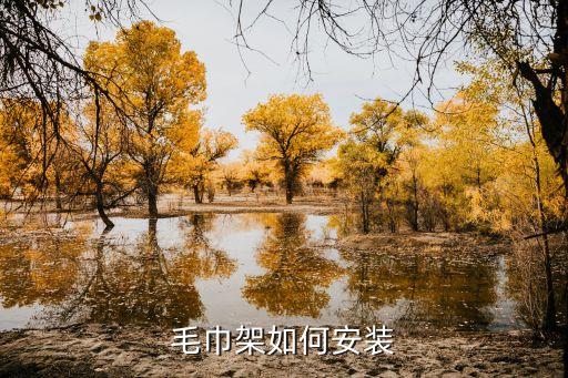 毛巾架如何安裝