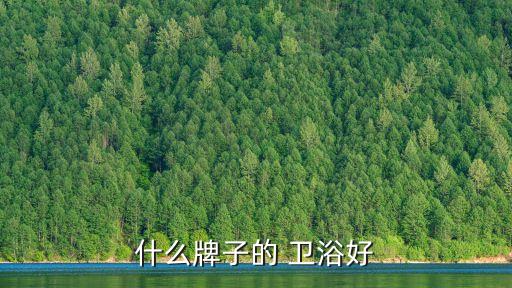 什么牌子的 衛(wèi)浴好