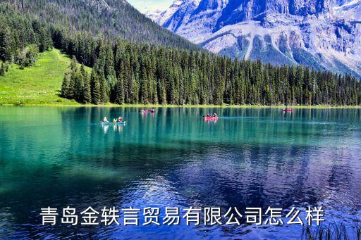  青島金軼言貿易有限公司怎么樣