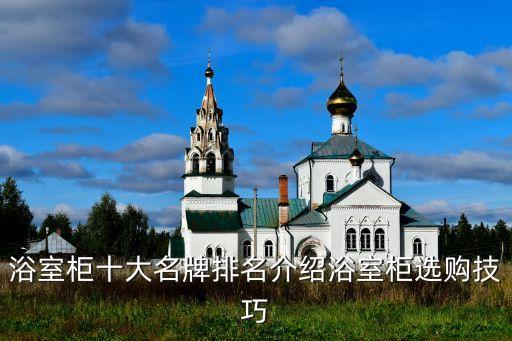 定制衛(wèi)浴柜品牌有哪些,高端定制衛(wèi)浴品牌