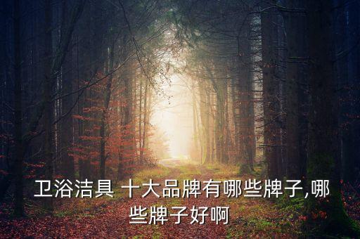  衛(wèi)浴潔具 十大品牌有哪些牌子,哪些牌子好啊