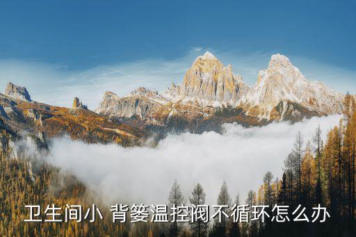 衛(wèi)生間小 背簍溫控閥不循環(huán)怎么辦