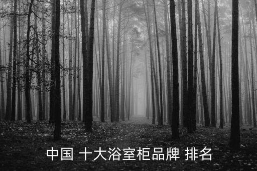 中國(guó) 十大浴室柜品牌 排名